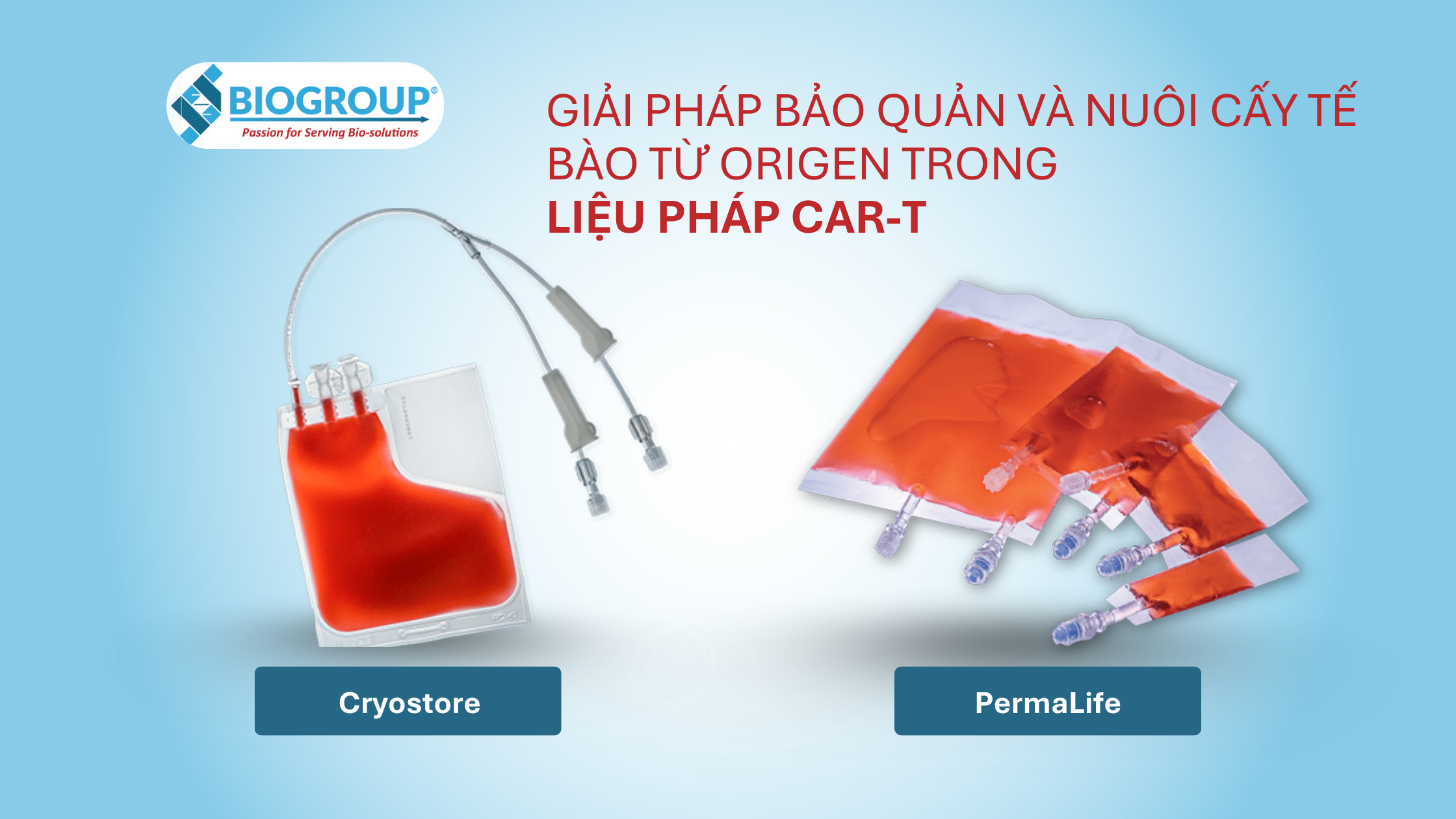 Túi CryoStore™ và PermaLife® được khách hàng tin dùng trong bảo quản và nuôi cấy tế bào CAR-T